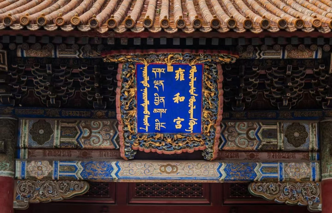 slider image 1621243260e1af0c20-0